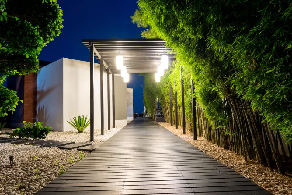 Modern Home